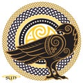 Raven hand-drawn in Celtic style, on the background of the Celtic sun ornament