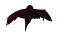 raven happy halloween celebration design