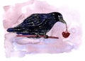 A raven holding a sprig of red mountain ash in his mouth. Technique watercolor, linear art, white pen.