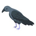 Raven icon isometric vector. Bird crow Royalty Free Stock Photo