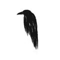 Raven illustration