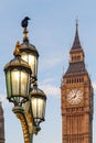 Raven on lampost at Houses of Parliament in early winter morning