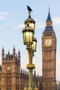 Raven on lampost at Houses of Parliament in early winter morning