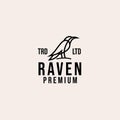 Raven line vector logo design