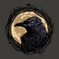 Raven on night background Royalty Free Stock Photo