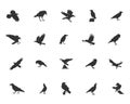 Raven silhouette, Crow silhouette, Crow and Raven silhouette, Crow vector illustration