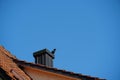 A raven sitting on a chimney on a red clay tile roof Royalty Free Stock Photo