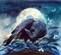 A raven on the tree branch with shining moon