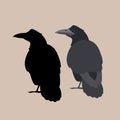 Raven vector illustration style Flat side