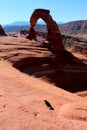 Raven and a view of the the La Sal Mountains and the Delicate Arch in the Arches National Park, Utah, USA Royalty Free Stock Photo