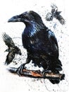 Raven watercolor black bird painting art