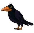 Raven with yellow eyes and a large beak