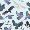 Ravenous birds seamless pattern, vector illustration. Owls, eagle, parrot and raven with dove. Realistic cartoon birds Royalty Free Stock Photo