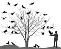 Ravens and crows on tree