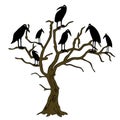 Ravens on the rampike - vector Royalty Free Stock Photo