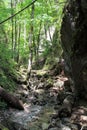 Ravine in National park Slovak Paradise, Slovakia