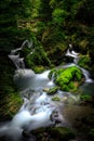 Ravine stream Royalty Free Stock Photo