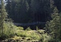 Suspension bridge Elk Falls, Campbell River Royalty Free Stock Photo