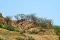 Ravines of chambal Royalty Free Stock Photo