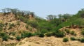 Ravines of chambal Royalty Free Stock Photo