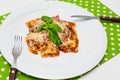 Ravioli with bolognese sauce sprinkled with parmesan cheese Royalty Free Stock Photo