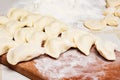 Ravioli: delicious homemade food, healthy and nutritious food_ Royalty Free Stock Photo