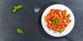 Ravioli pasta meal from Italy lunch dish with tomato sauce top view on a plate panorama copyspace copy space Royalty Free Stock Photo