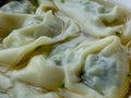 Raviolis close image Royalty Free Stock Photo
