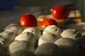 Ravioli with tomato on the background of wood Royalty Free Stock Photo