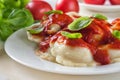 Ravioli with tomato and basil Royalty Free Stock Photo