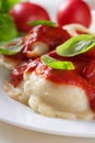 Ravioli with tomato sauce Royalty Free Stock Photo