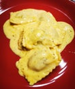 Raviolli. Cooked raviolli on a shiny red plate, 4 cheese sauce Royalty Free Stock Photo