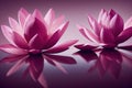 Ravishing blossom pink lotus flower with realistic detail illustration.