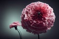 Ravishing macro closeup pink carnation flower with realistic detail.