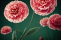 Ravishing macro closeup pink carnation flower with realistic detail.