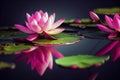 Ravishing pink waterlily floating on water with realistic detail blossom.