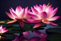 Ravishing pink waterlily floating on water with realistic detail blossom.