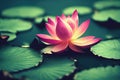 Ravishing pink waterlily floating on water with realistic detail blossom.