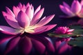 Ravishing pink waterlily floating on water with realistic detail blossom.