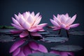 Ravishing pink waterlily floating on water with realistic detail blossom.