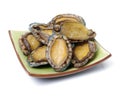 Raw abalone Royalty Free Stock Photo