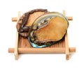 Raw abalone Royalty Free Stock Photo