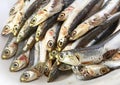 Raw anchovies just fish for sale in fish market