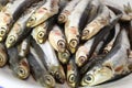 Raw anchovies ready to Cook