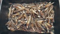 raw anchovies in a stainless tray Royalty Free Stock Photo