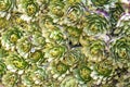 Raw artichoke background, Selling fresh vegetables on the market.