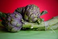 Raw artichokes Royalty Free Stock Photo