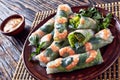 Raw Asian spring rolls of rice paper Royalty Free Stock Photo