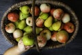 raw autumn fresh fruits as apples pears in the basket and little baby hand want to take it