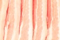 Raw Bacon Background Royalty Free Stock Photo